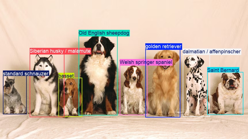 Objects labeled with their classification predictions
