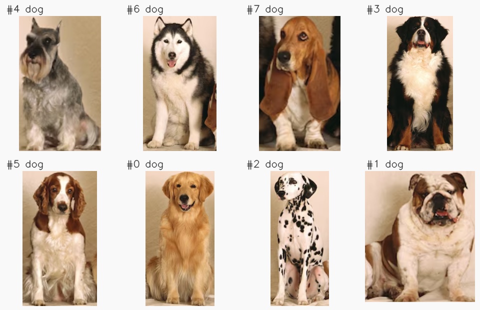 Eight individual dog crops, numbered to match their detections